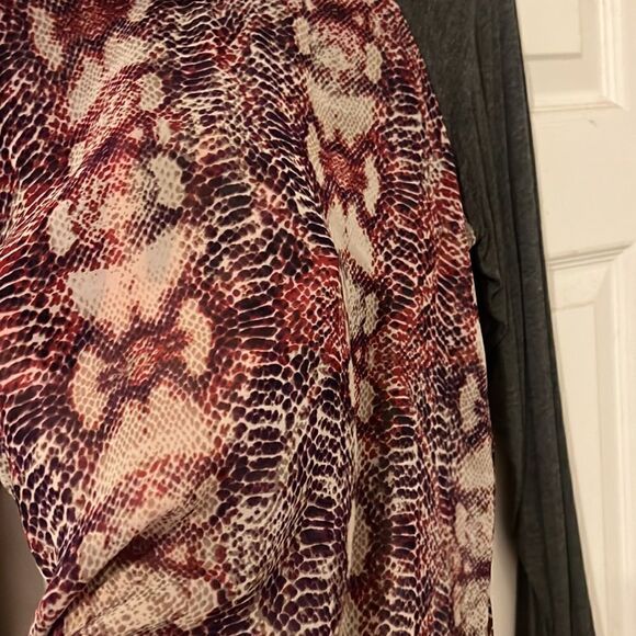 Vintage Havana Small Long Sleeve Top - Sheer Front - Black Sleeves - Long Sleeve - Picture 6 of 6